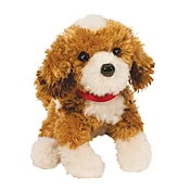 Buttercup Doodle  Mix Pup with red collar