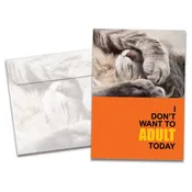 Adult Today All Occasion Greeting Card