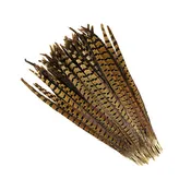 10 PC/PKG  RINGNECK PHEASANT TAILS  16-18" - NATURAL