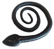 12" Sna-Koil