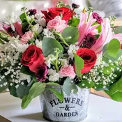 MOM'S Garden