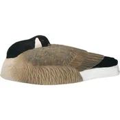B2™ Canada Sleeper Shell Decoys 6 Pk.