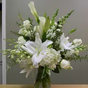 Orchids and Lilys