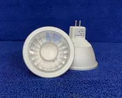LED Bulb Kit - Amber