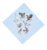 Birds of Prey Bandana