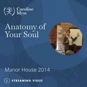 Anatomy of Your Soul – Manor House 2014 – Video