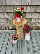 Indoor Blooming (4" inch blooming indoor plant) — The Natural Nook Flower Shop
