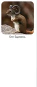 Ram Squirrel Magnetic Notepad