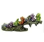 7 Dragons Nesting on an Overhanging Rock