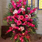 Pink Sympathy