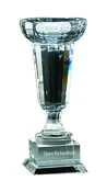 10.25" CRYSTAL CUP TROPHY ON CLEAR CRYSTAL BASE