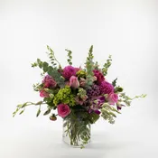 Magenta Garden Dahlia Bouquet