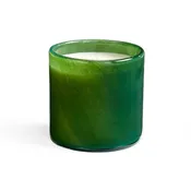 15.5oz Jungle Bloom Signature Candle - Treehouse