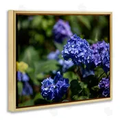 Aaron Matheson | Purple Hydrangea Photography Wall Art