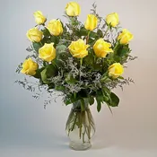 Classic Yellow Roses