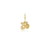 14k Yellow Gold Wisdom Charmlette