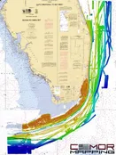 CMOR Mapping Chips