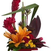 KF_T85-1A  Teleflora's Tropical Bliss