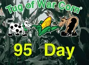 95-Day Conventional