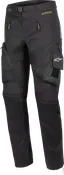 Acteon Pants