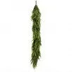 72" x 16" Norfolk Pine Garland