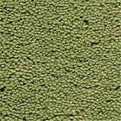 Fabrica Aloe Plush Saxony Carpet