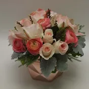 rosey corals