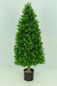 Boxwood Tower
