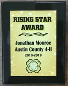 4H Rising