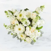 Purity by BloomNation™