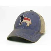 Legacy Dog with NC Flag Trucker Hat
