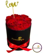 7 PRESERVED RED ROSES IN A ROUND BOX