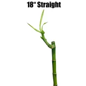 18″ Straight Stalk (Single)