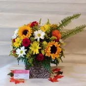 Autumn Sunflower Special