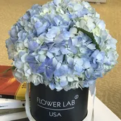 Bobby box with blue hydrangeas