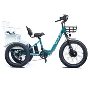 Bison Pro Urban Cruiser: Embrace Adventure with Comfort and Safety