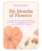 BOUQUET OF THE MONTH CLUB (6)