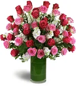 Opulent Roses™