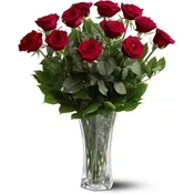 Dozen Red Roses