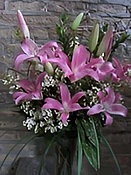 Fragrant Pink Oriental Lily