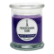 Bird of Paradise Candle (9 oz.)
