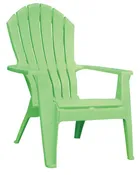 Adirondack Chair