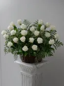 BASKET OF ROSES