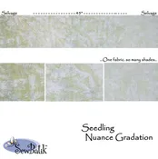 45" Cotton Nuance - Seedling