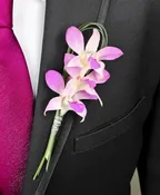 Chic Pink Orchid Prom Boutonniere