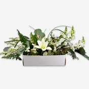 Jetwrap IIA Centerpiece Box #608