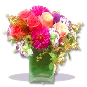 Compact Garden Floral