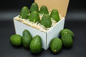 12 Large Hass Avocados, Farmer's Dozen