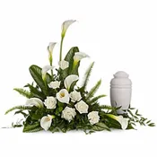 Stately Lilies