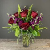Delightful Half Dozen